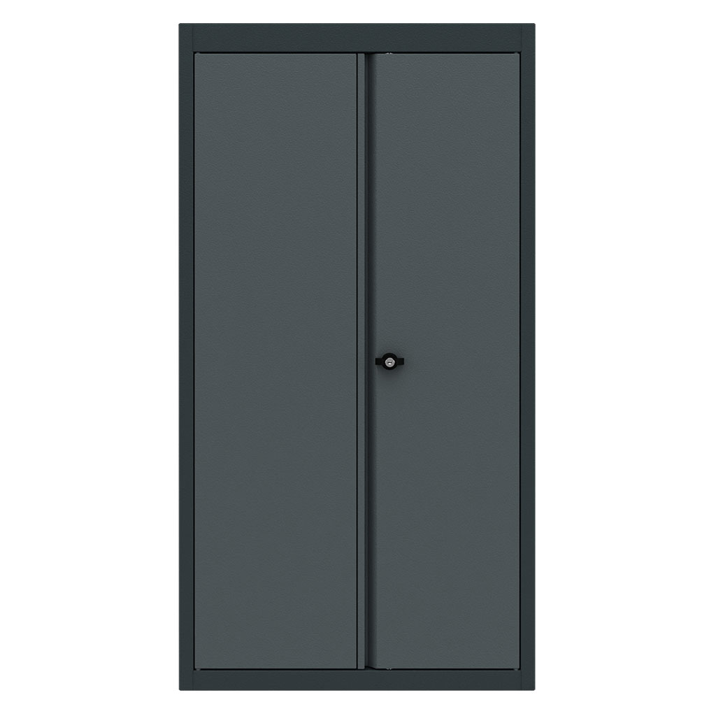 [BG62TCD2] Top cabinet 2 doors Expert