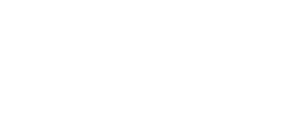 Falco Sollevatori